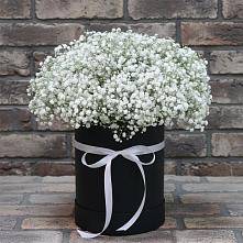 Цветочная композиция из Гипсофила в шляпной коробке #REPLACE_PRED# Ильинской
